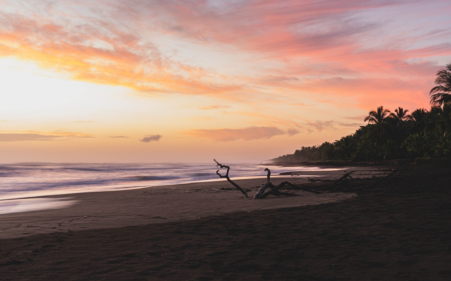 Parque Nacional Tortuguero